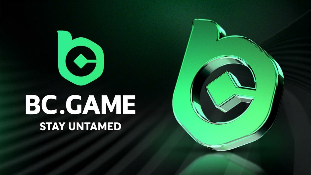 A Comprehensive Guide to BCGame Casino